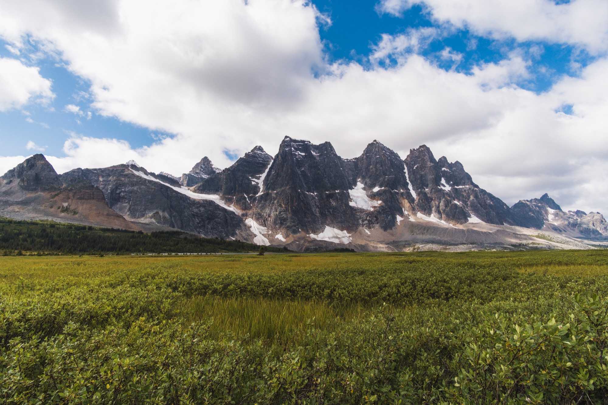 tonquin green2