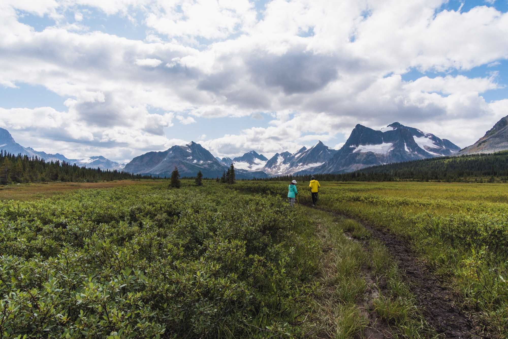 tonquin green